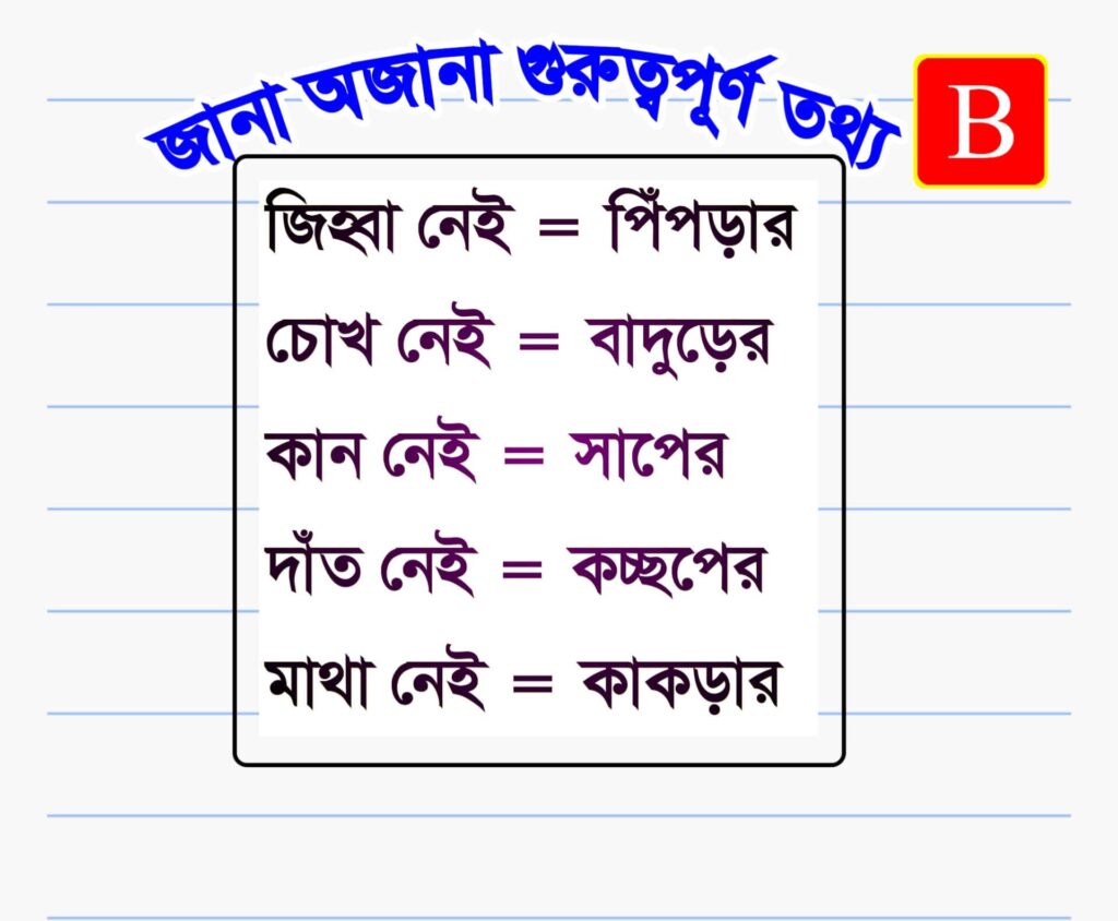 জানা অজানা তথ্য | শিক্ষামূলক অজানা তথ্য