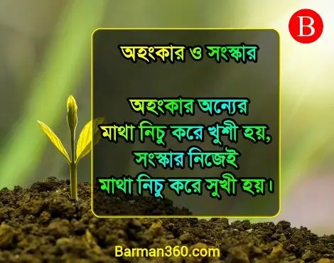 Shikha Mulak Bani Bangla, উপদেশ মূলক কথা উক্তি বাণী স্ট্যাটাস, ছাত্র জীবন নিয়ে উক্তি, নৈতিক শিক্ষা নিয়ে উক্তি, ছোট ছোট নীতি বাক্য